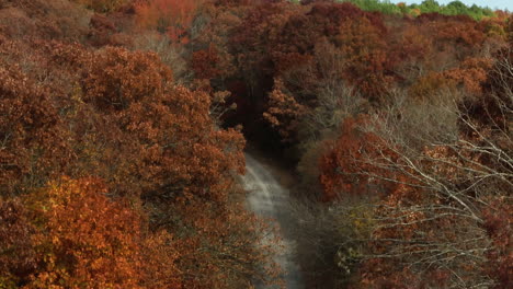 Road-In-The-Middle-Of-Forest-In-Autumn---Aerial-Drone-Shot