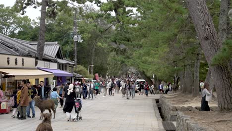 Tourists-And-Deer-Along-Path-At-Nara-Park