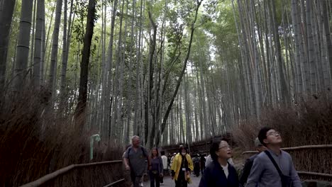 Turistas-Y-Visitantes-Caminando-Por-El-Sendero-Del-Bosque-De-Bambú-Sagano-En-Arashiyama
