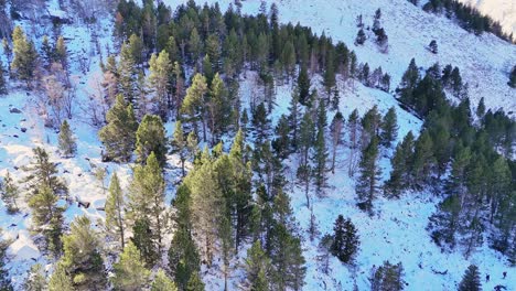 Drohnenaufnahmen-Von-Bäumen-Unter-Dem-Schnee-Mit-Goldenem-Sonnenlicht-In-Den-Pyrenäen