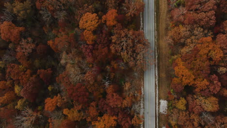 Top-Down-View-Of-Lush-Autumn-Forest-And-Country-Road-In-Arkansas,-USA---Drone-Shot