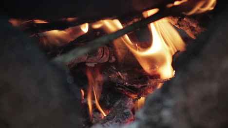 Close-up-static-shot-of-flaming-firewood