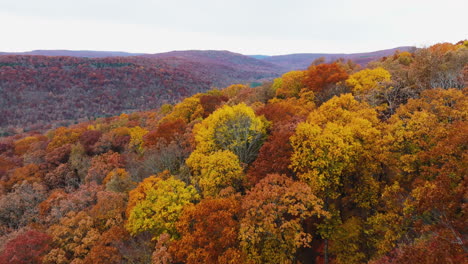 Aerial-View-Of-Colorful-Trees-In-Autumn,-Devil's-Den-State-Park,-Arkansas,-USA---Drone-Shot
