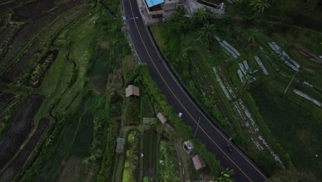 Luftaufnahme-Eines-Reisfeldes,-Das-Das-Tropische-Dorf-Karangasem-Auf-Bali-Umgibt