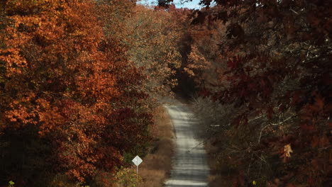 Aerial-View-Of-Forest-Road-In-Autumn-In-AR,-USA---Drone-Shot
