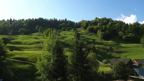 Üppige-Grüne-Berghügel-Mit-Wald-Im-Sommer-In-Palanca,-Rumänien