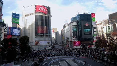 The-best-views-in-Tokyo
