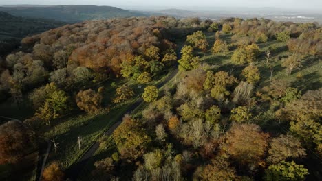 Herbstbäume-Cotswolds-Crickley-Hill-Waldlandschaft-Luftbild-Landschaft-Großbritannien