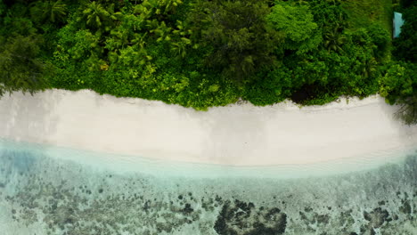 Top-Down-aerial-drone-view-of-picturesque-tropical-deserted-beach-in-the-Seychelles-Islands