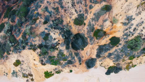 Die-Luftaufnahme-Aus-Der-Vogelperspektive-Fängt-Die-Felsige-Küste-Portugals-Ein,-Wo-Das-Sanfte-Plätschern-Der-Meereswellen-Die-Schroffen-Formationen-An-Der-Küste-Mit-Vegetation-Und-Grün-Streichelt