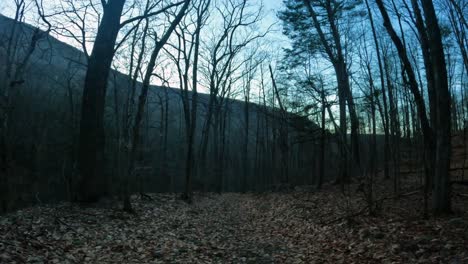 A-walking-time-lapse-through-the-Appalachian-Mountains-during-early-spring