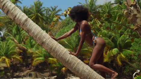 Enjoying-a-sunny-day,-a-girl-with-curly-hair-dons-a-bikini-on-a-tropical-Caribbean-island-beach-on-a-coconut-tree