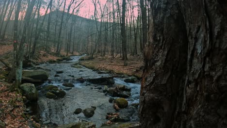 Slow-motion-stream-sunrise-in-the-Appalachian-Mountains-during-early-spring
