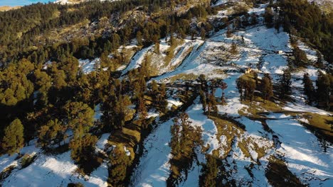 Drohnenkamera-Aus-Der-Luft,-Filmaufnahme,-Chopta-Utrakhand-Hügel,-Super-Viel-Schnee-Und-Jede-Menge-Büsche-Drumherum