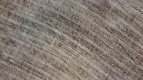Top-down-Aerial-view-of-a-beveled-field-of-dry-grass-and-snow-in-Canada-in-winter