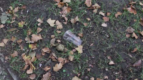 Plastic-Cup-Laying-on-Ground-Surrounded-by-Scarce-Grass-and-Dead-Leaves