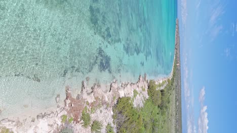 Aerial-drone-view-of-Bahia-de-las-Aguilas-turquoise-sea-and-beach-in-Dominican-Republic,-vertical-shot