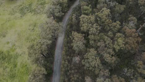 Drone-Aéreo-4k-Sobre-Una-Carretera-En-Un-Bosque-Que-Muestra-Tierra-Despejada-En-Un-Lado-Y-árboles-Nativos-En-El-Otro