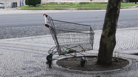 Shopping-Cart-With-Trash-Sitting-Under-Tree-on-Sidewalk-In-Front-of-Busy-Street