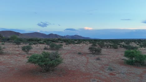 Low-drone-flight-over-the-semi-arid-southern-Kalahari-bushveld