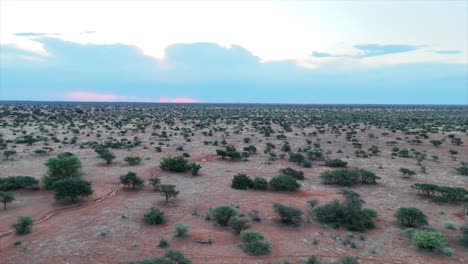 Luftaufnahme,-Drohne-Bewegt-Sich-Rückwärts-Und-Gibt-Den-Blick-Auf-Die-Südliche-Kalahari-Landschaft-Frei