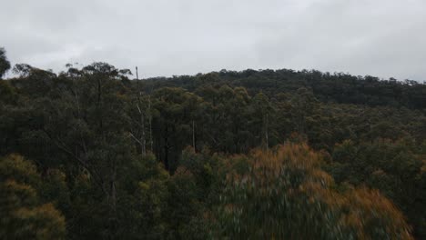 Drone-aerial-rise-and-fly-over-trees-and-mountains-in-Victoria-on-cloudy-day