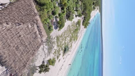 Flying-over-Bahia-de-las-Aguilas-turquoise-ocean-and-sandy-beach-in-Dominican-Republic,-vertical-shot