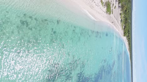 Birdseye-view-of-Bahia-de-las-Aguilas-turquoise-sea-and-beach-in-Dominican-Republic,-vertical-shot