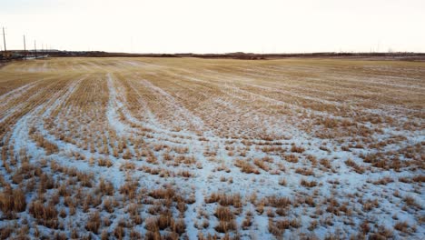 Drone-shot-of-a-beveled-rye-field-in-central-Alberta-in-winter