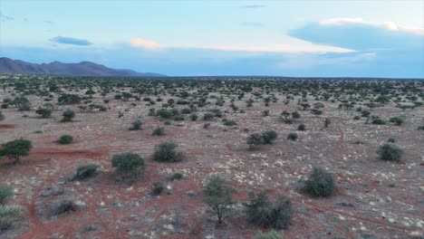 Kreisförmige-Panorama-Luftaufnahme-Der-Südlichen-Bushveld-Kalahari-Landschaft