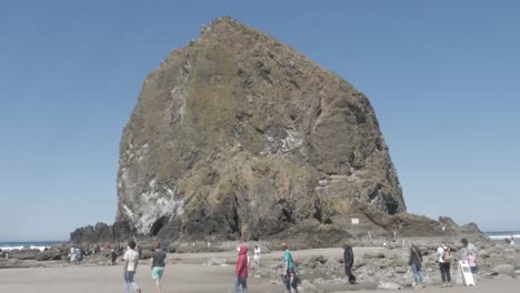 people-around-haystack-rock-during-low-tide