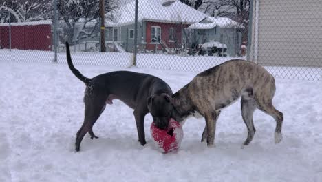 Pitbull-and-Pitsky-Tug-and-Turn-for-Control-of-Snow-Covered-Ball