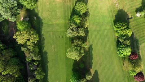 Von-Oben-Nach-Unten-Gerichtete-Luftaufnahmen-Des-Englischen-Golfplatzes,-Des-Fairways-Und-Der-Bäume
