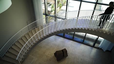 Die-Frau-Geht-Die-Treppe-Im-Chicago-Art-Institute-Hinunter