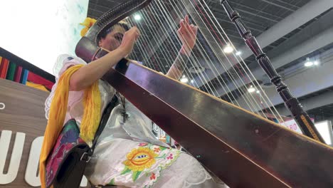 slow-motion-shot-of-harpist-at-tianguis-turistico