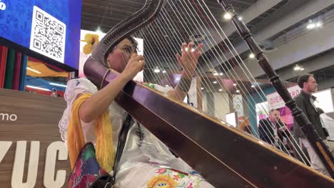 slow-motion-shot-of-harpist-from-yucatan