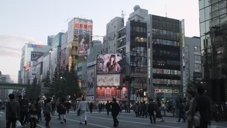 Menschenmassen-Straßenschilder-Akihabara-Tokio-Japan-Asien