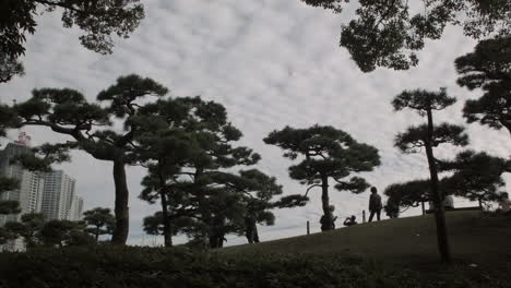 Bäume-Im-Japanischen-Garten-Mit-Menschen,-Die-In-Der-Ferne-Gehen