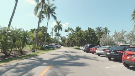 Isla-Fisher---Conducir-Alrededor---Miami,-Florida
