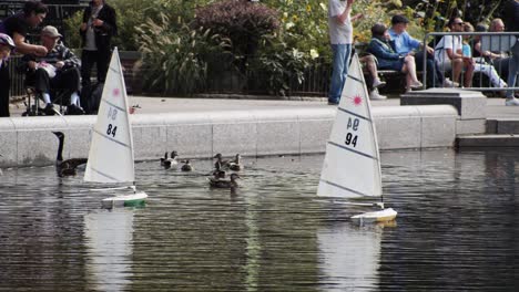 A-family-controls-RC-boats-on-a-lake-in-Central-Park