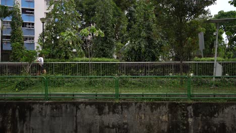 Una-Mujer-Camina-A-Paso-Ligero-En-El-Conector-Del-Parque-Whampoa-En-Singapur