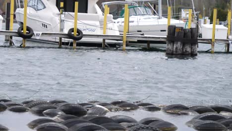 Going-Past-Row-Of-Floating-Rubber-Tyres-Near-Marina-Pier-In-Lake-Michigan