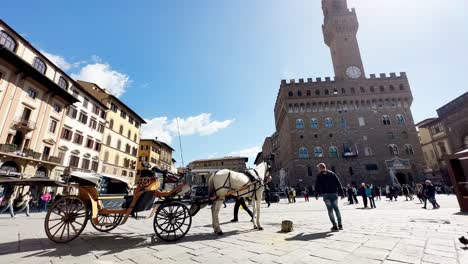 Luxurious-carriage-with-white-horse-in-Piazza-della-Signora,-square-in-the-center-of-Florence,-Italy-on-a-sunny-day-with-the-Old-Palace-