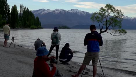 Instgrammers-at-that-Wanaka-Tree-in-New-Zealand