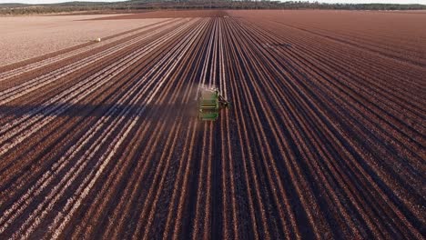A-drone-flies-around-a-cotton-harvester-working-in-the-afternoon-light