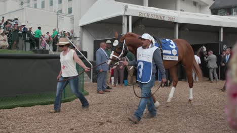 Kentucky-Derby-Horse-3-Zwei-Phils-Vor-Dem-Rennen