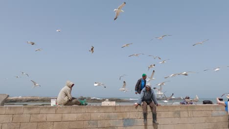 Joyful-interaction-between-people-and-seagulls-along-Essaouira's-coast,-Morocco