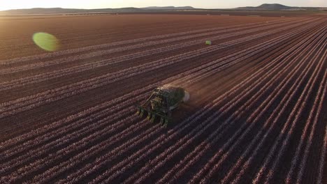 Drone-tracks-around-cotton-harvester-as-it-works-in-the-afternoon-light-picking-cotton
