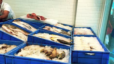 Butcher-Window-Display-with-Freshly-Caught-Fish-in-Blue-Ice-Trays-in-India
