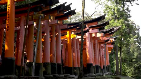 Blick-Nach-Draußen-Auf-Eine-Reihe-Roter-Torii-Tore-Bei-Fushimi-Inari-Taisha,-Durch-Die-Touristen-Laufen